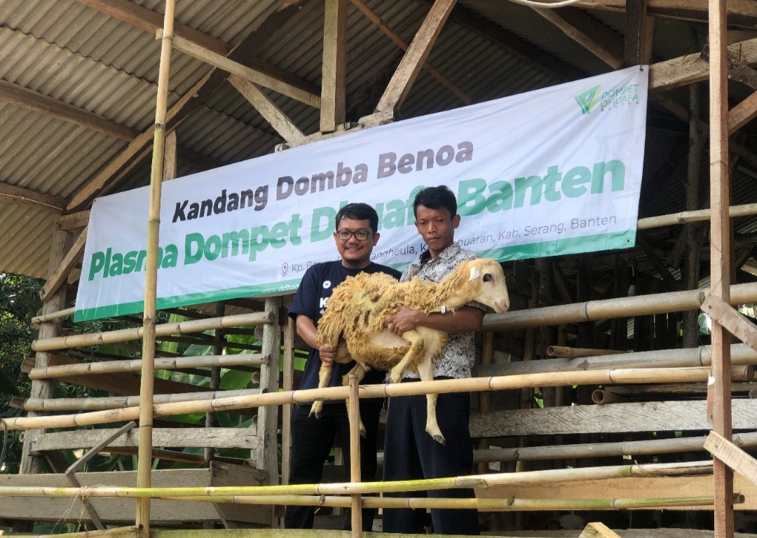 Mengenal Program Neo Plasma ala Dompet Dhuafa, Tebar Hewan Kurban di Banten