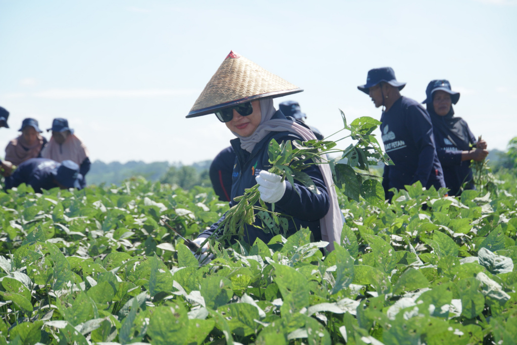 Bank BJB Panen Raya Edamame Bareng Mitra