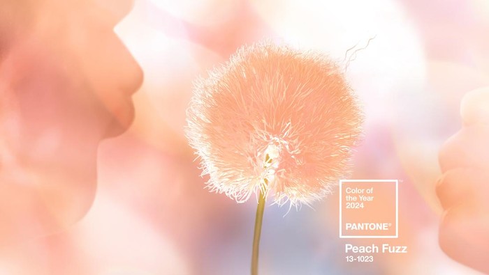 Peach Fuzz Jadi Tren Warna 2024 Versi Pantone, Perpaduan Manis Pink dan Oranye