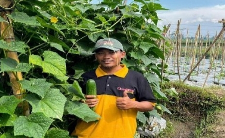 Kisah Petani Sukses, dari Terong dan Timun Jadi Master Panen