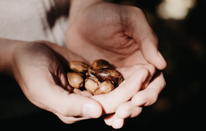 Resik-V Khasiat Manjakani Whitening, Solusi Alami untuk Area Kewanitaan Segar dan Kencang!