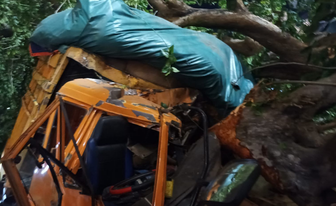 Truk Fuso Muatan Padi Hantam Pohon di Pelabuhan Bakauheni Tewaskan Satu Orang 