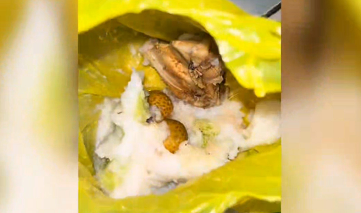 Viral Video MBG Berkantong Plastik, SOP BGN Tempat Makan Menggunakan Ompreng