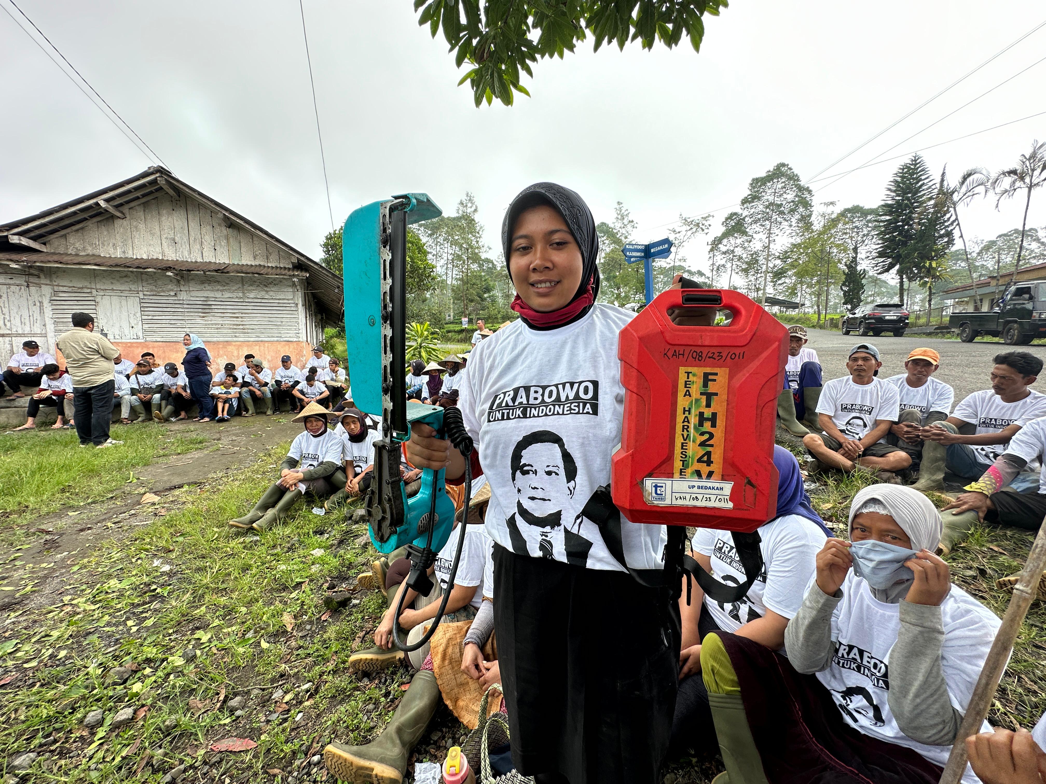 Petani dan Pemetik Teh Tambi Wonosobo Dukung Prabowo-Gibran, Berharap Perbaikan Harga Kebutuhan Pokok 