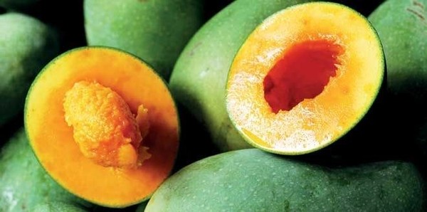 Musim Mangga di Kabupaten Pasuruan, Varietas Putar dan Garifta Merah Melimpah Ruah 