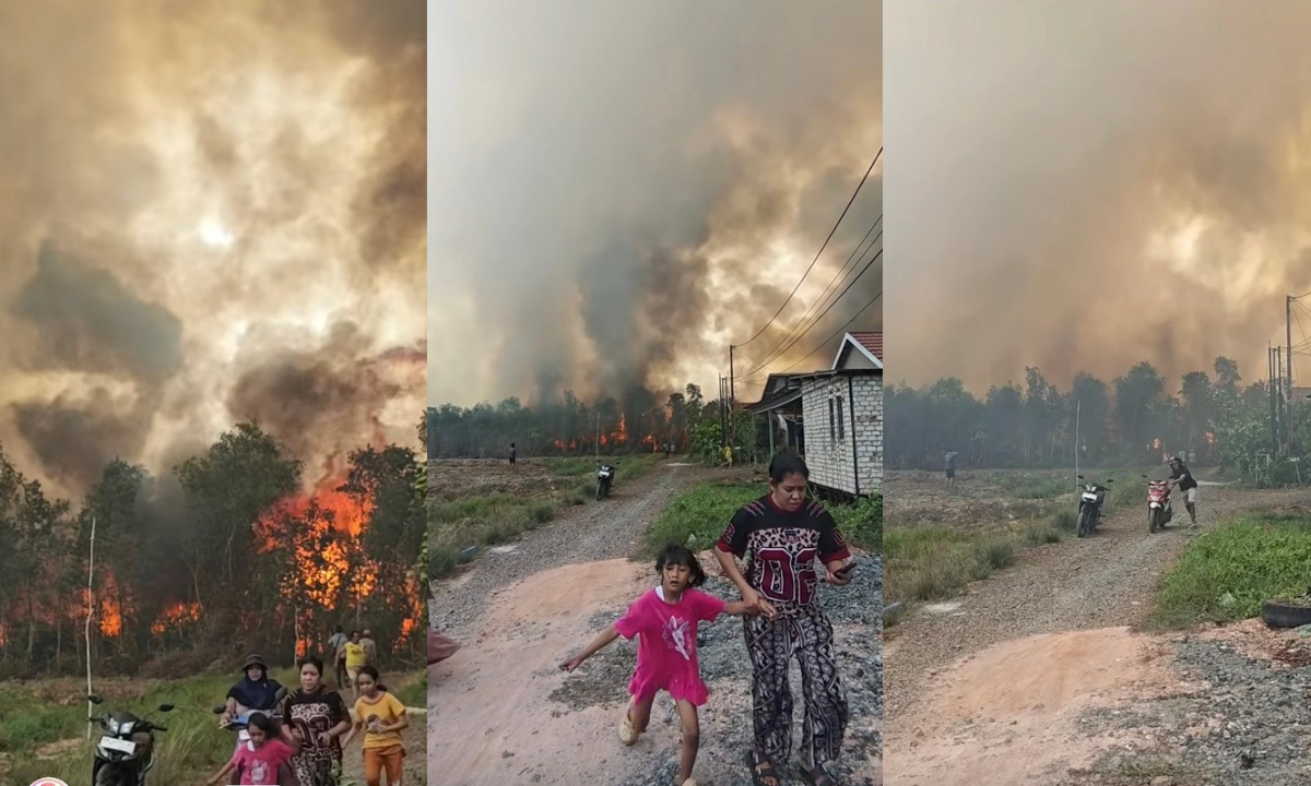 Detik-detik Api Karhutla Dekati Permukiman Barito Kuala, Warga Panik Selamatkan Diri