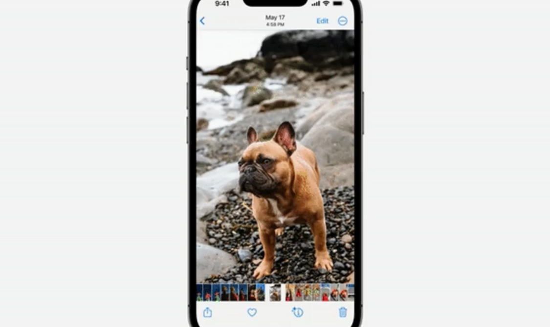Kecanggihan Kamera iOS 16 Tap-and-Lift, Begini Cara Kerjanya