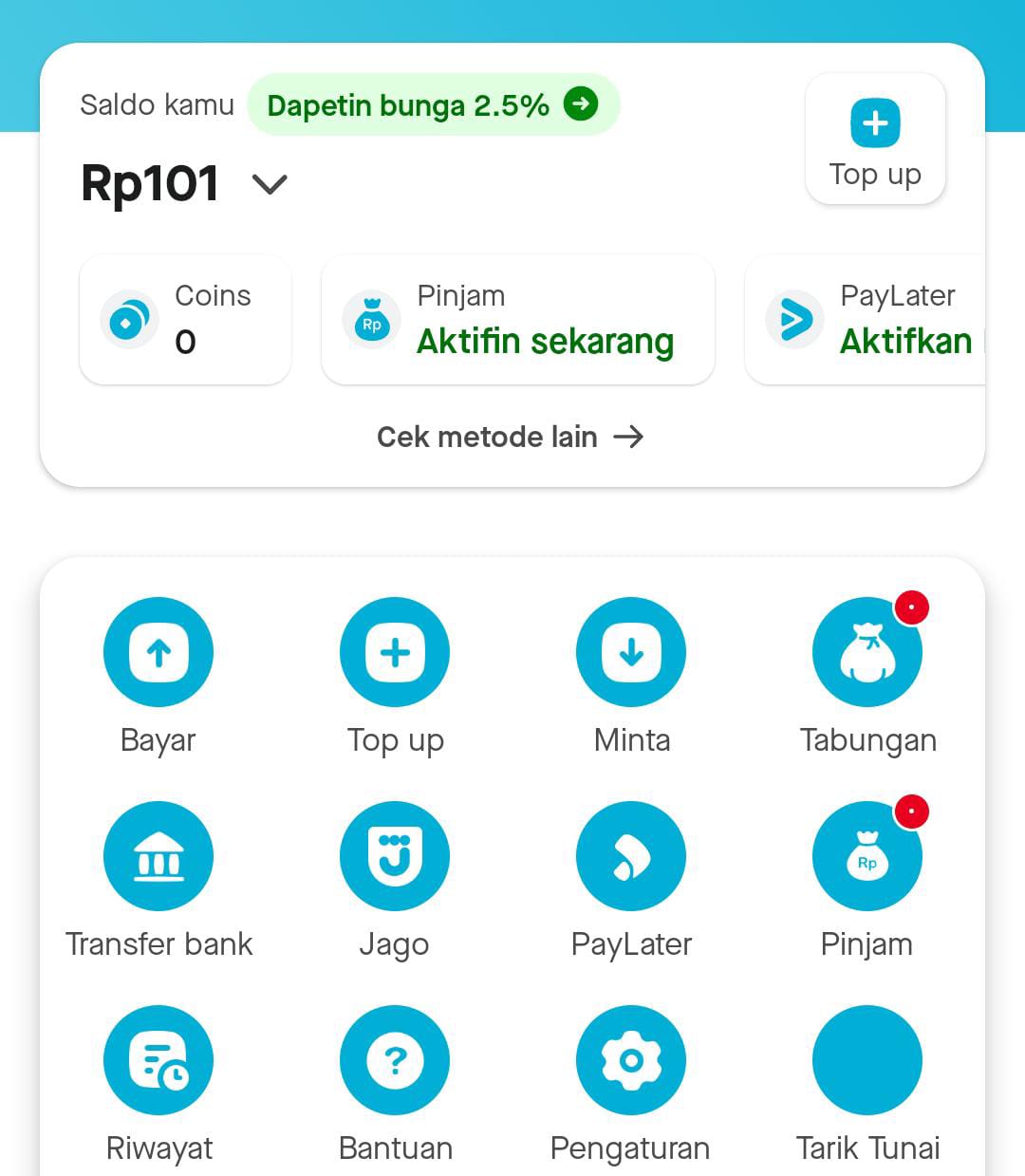 Mudah Banget! Inilah Cara Tarik Saldo Gopay