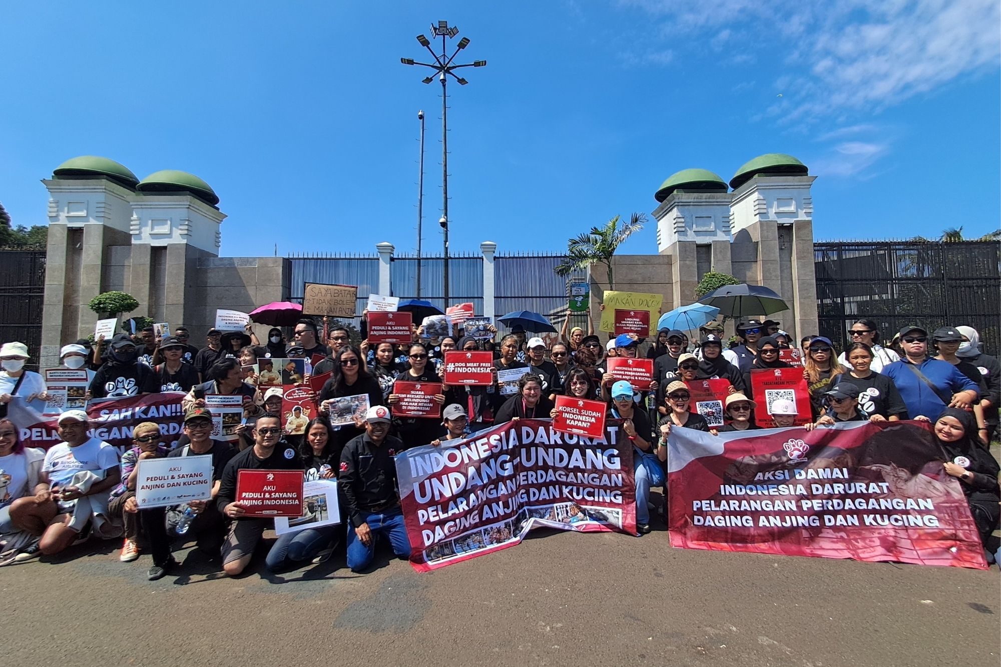 Dorong RUU Perlindungan Hewan, DMFI dan UI Resmi Serahkan Naskah Akademik ke DPR