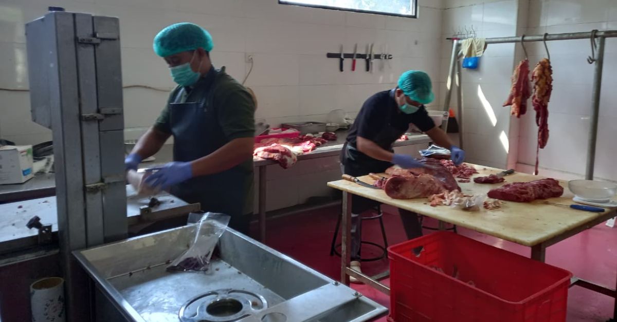 Dapur MBG Dongkrak Omzet Ayam Potong