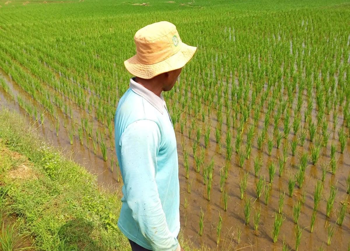 Program Mitra Tani Perum Bulog Siap Jawab Tantangan Ketahanan Pangan