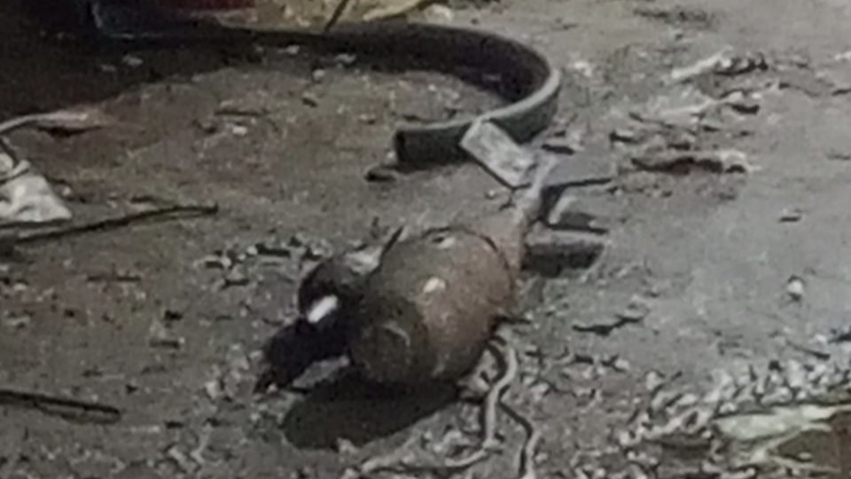 Ngeri! Warga Serpong Temukan Mortir di Lapak Besi Tua, Gegana Selidiki