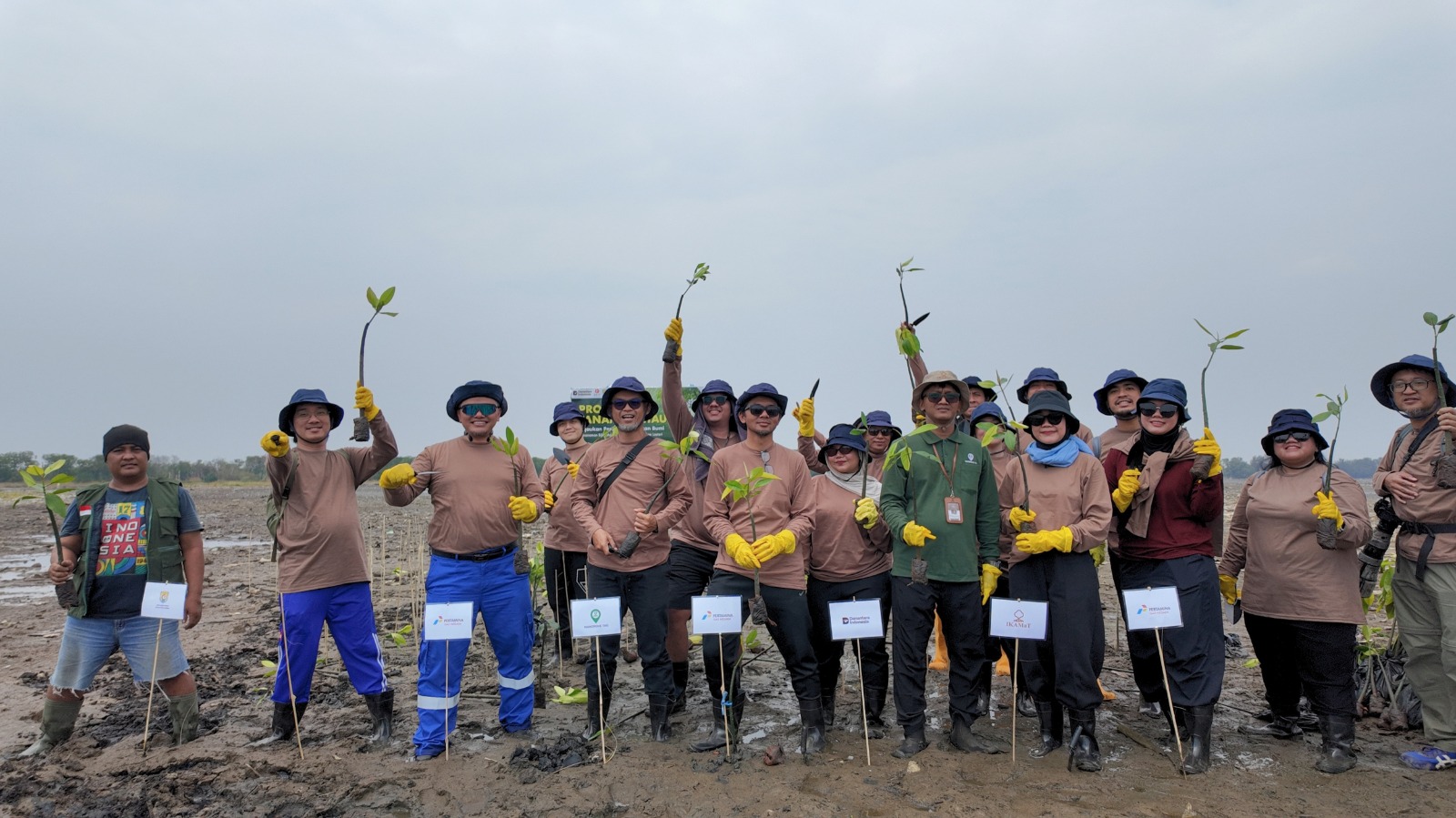 Perkuat Ketahanan Pesisir Utara Jawa Hadapi Perubahan Iklim dengan 269.000 Mangrove
