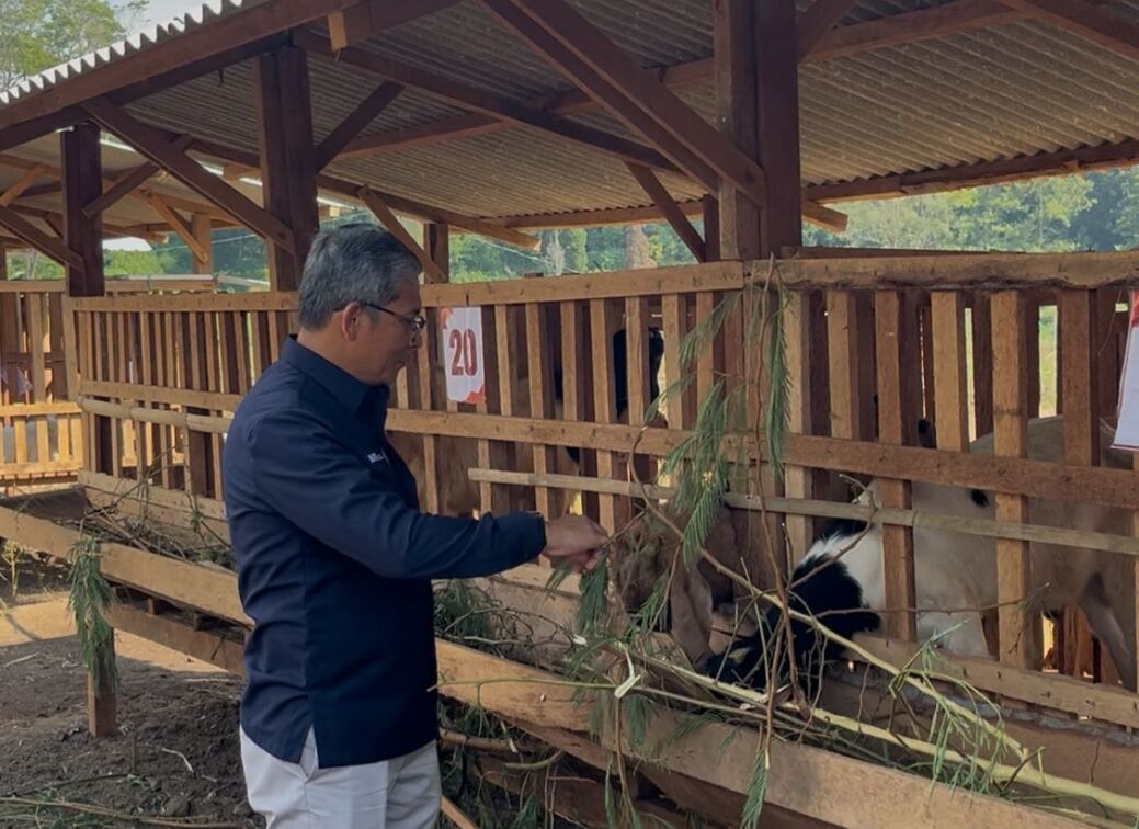 Kandang Komunal, Program Kemandirian Peteranak oleh PTPN I Regional 5 Dorong