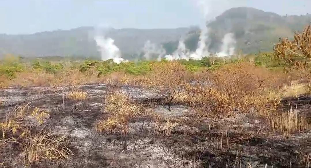 Kebakaran Padang Ilalang di Danau Minyak Suoh Lampung Barat Capai 8 Hektare 