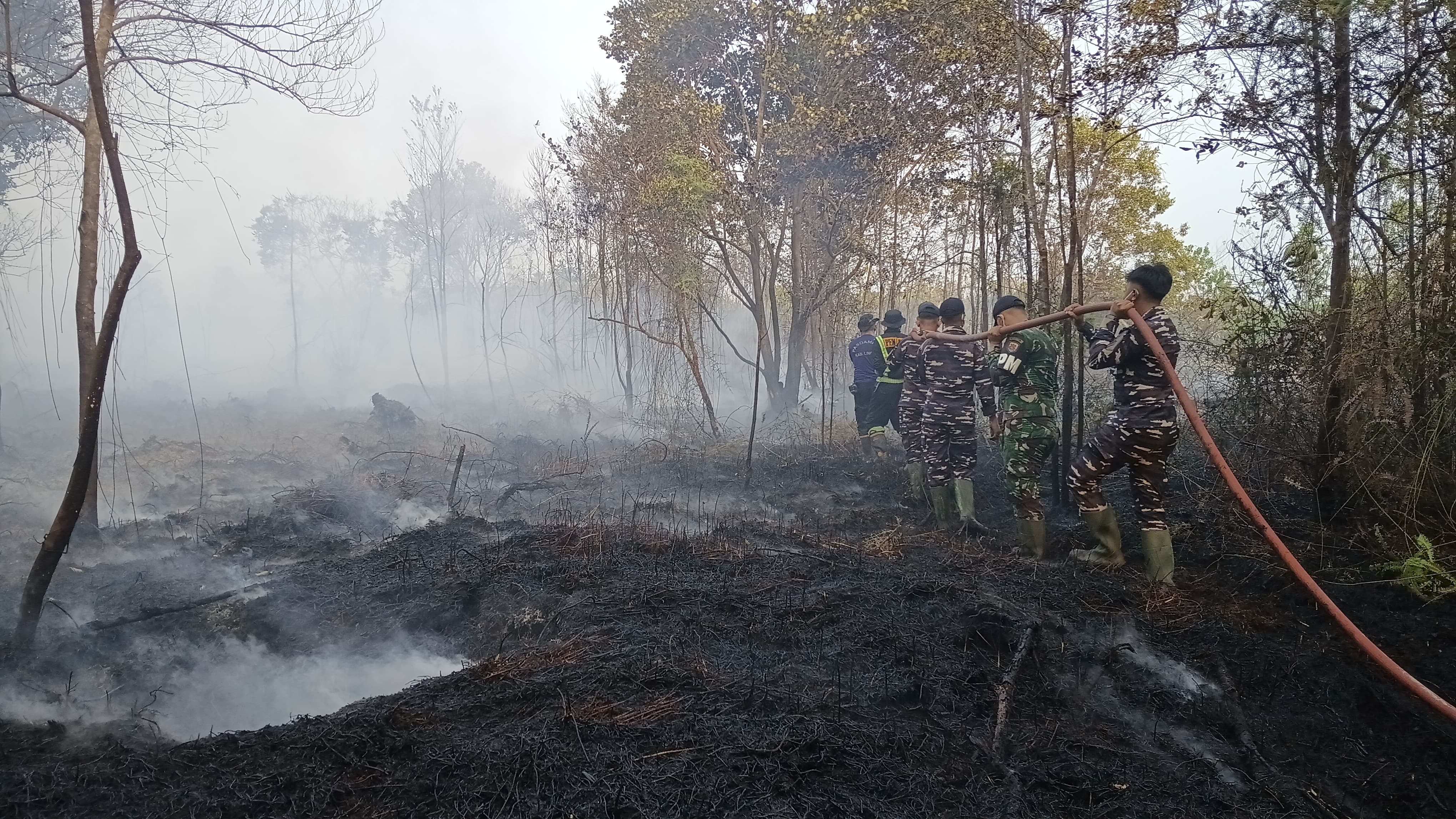 Karhutla di Kaltim Meluas, 50 Hektare Lahan Hangus
