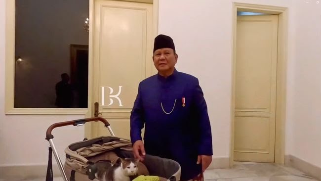 Kucing Bobby Kertanegara Ikut Pindah ke Istana Negara, Netizen Berharap Pemerintah Lebih Humanis dan Dekat Rakyat