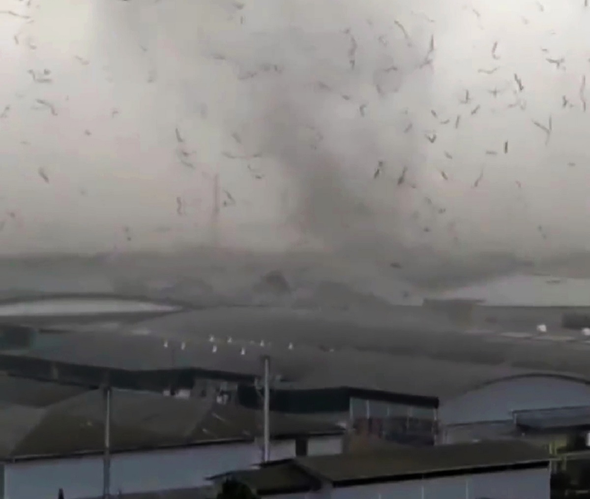 Pakar IPB Sebut Puting Beliung Rancaekek Bukan Tornado, Ini Penjelasan Secara Ilmiah