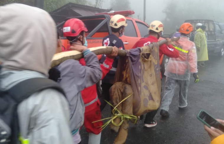 19 Orang Dinyatakan Tewas, 7 Hilang di Update Data Korban Longsor Pekalongan