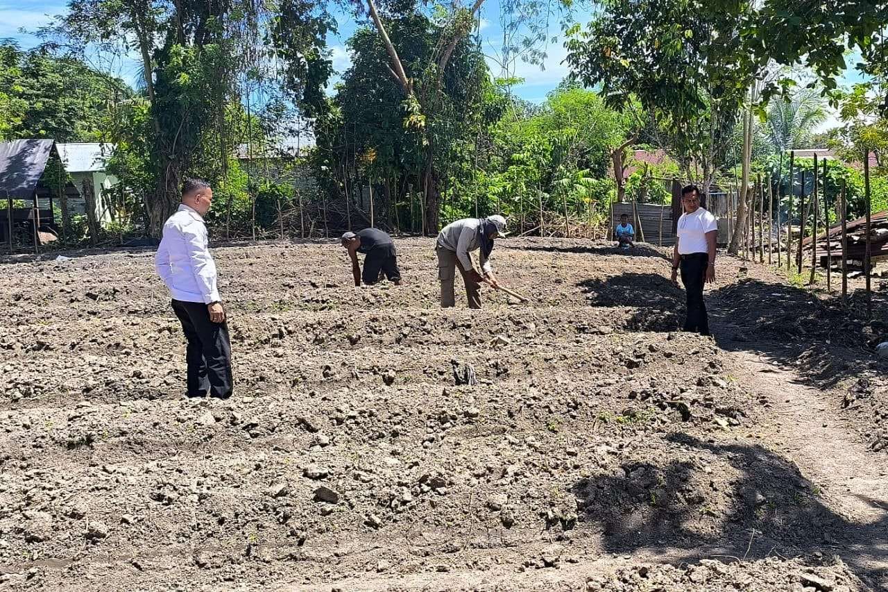 Gandeng Napi Untuk Program Ketahanan Pangan, Menteri Imipas Siapkan Dana Upah Rp700 Juta