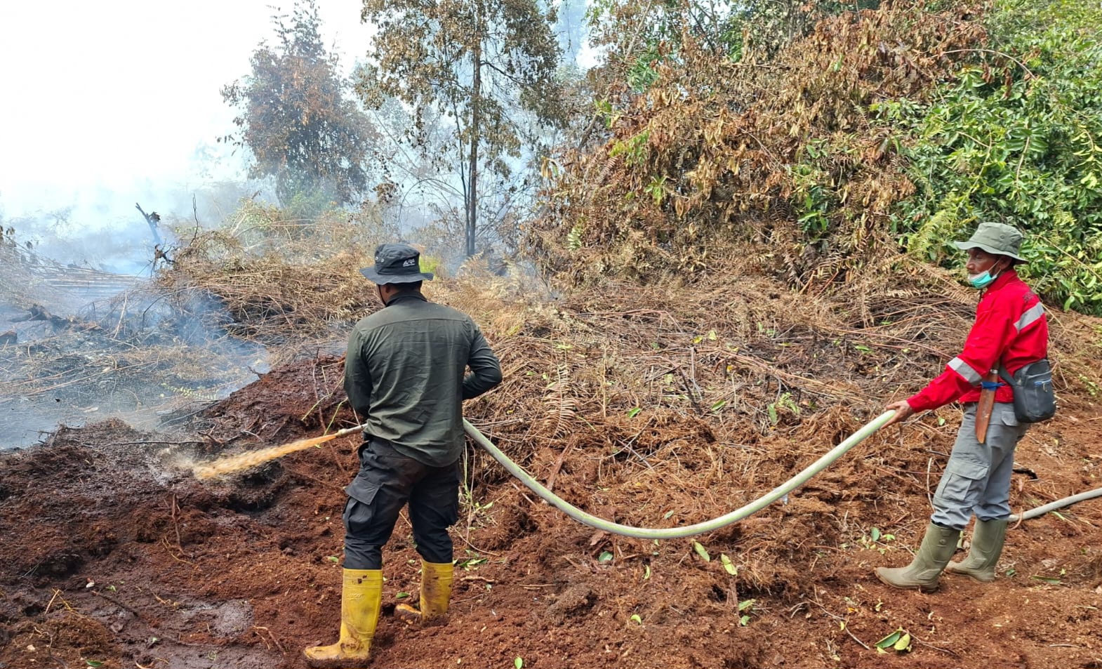 1.436 Hotspot Muncul di Sumatera, Riau Catat 246 Titik, Hujan Buatan Dikerahkan