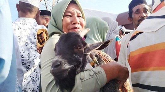 Simbol Kekayaan Budaya dan Syariat, Ini Yang Perlu Kamu Ketahui Sebelum Berkurban