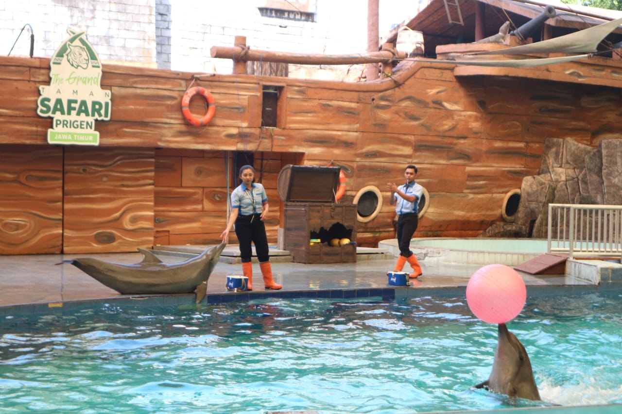 Mengisi Liburan Sekolah di Taman Safari Prigen, Ajak Anak Berinteraksi dengan Satwa