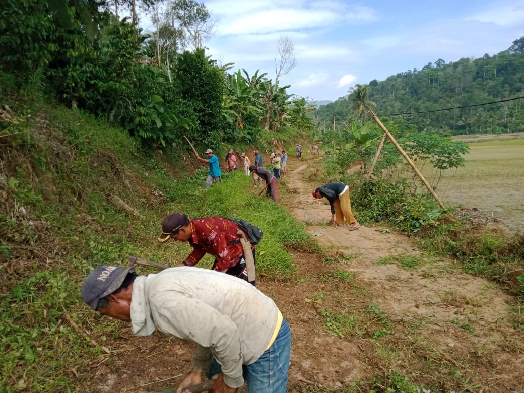 Pekon Bandar Agung Rawat Badan Jalan Hasil TMMD 2019