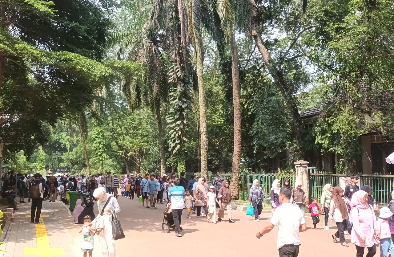 Antisipasi Libur Nataru, Ragunan Lakukan Penopingan Pohon untuk Cegah Pohon Tumbang