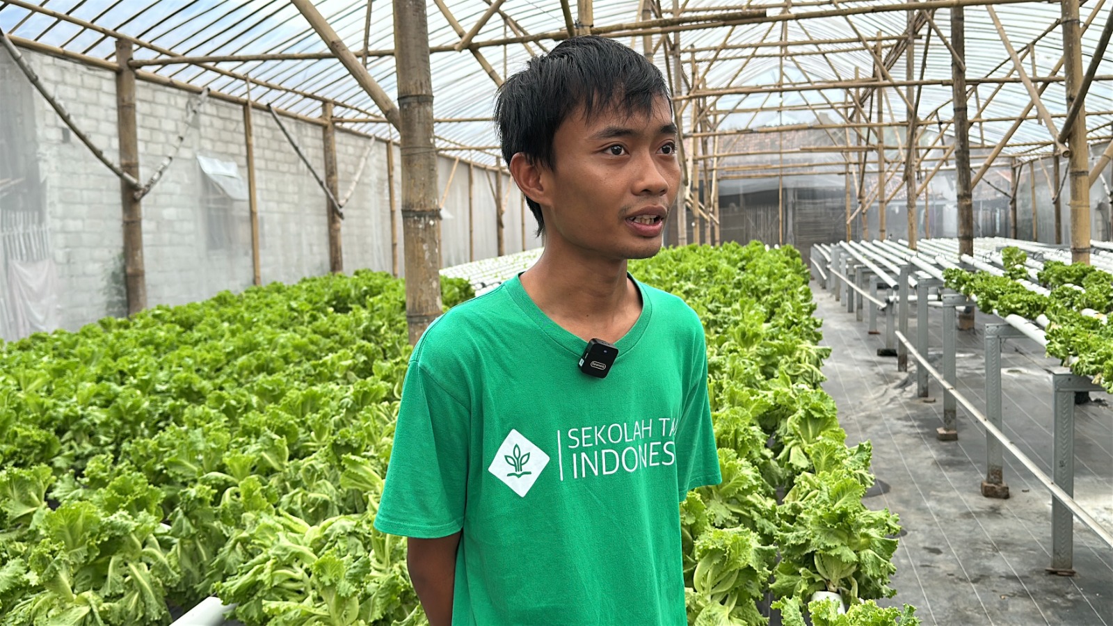 Petani Milenial Raup Omzet 2 Kali Lipat Usai Jadi Pemasok Sayur Program MBG