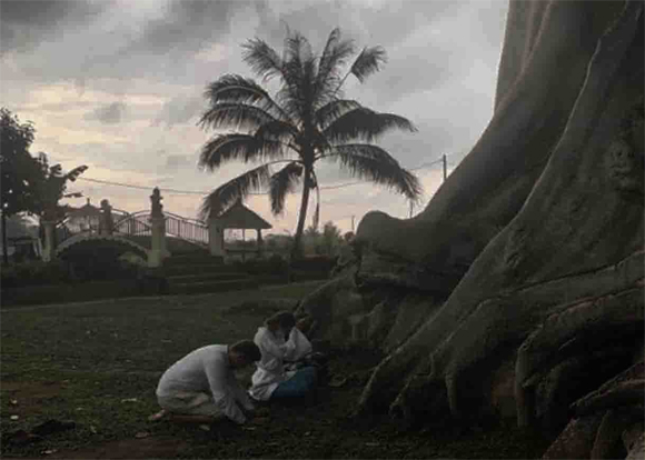Bule Pose Bugil di Pohon Keramat, Fakta Lainnya: Investor, Dirikan Perusahaan di Bali