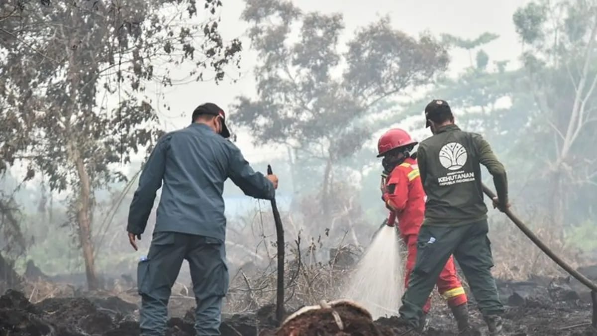 Karhutla Belum Padam Sejak Agustus, Pemerintah Kerahkan Satgas Darat dan Udara