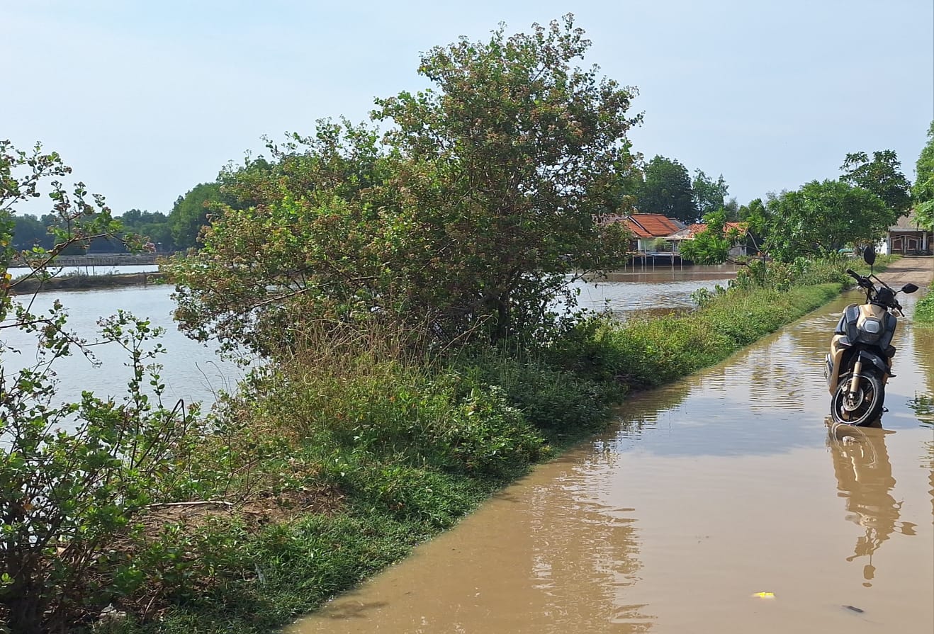 Desa di Babelan Bekasi Terancam Tenggelam, 1.000 Warga Terdampak