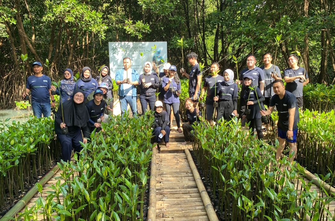 PNM Peduli Tanam 50.000 Pohon Mangrove di Hari Mangrove Sedunia