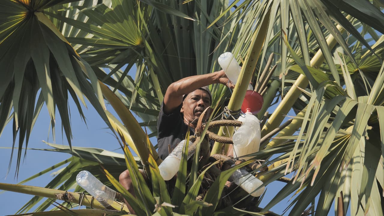 BRI Dukung Desa Hendrosari Bangkit, UMKM Tumbuh Lewat Wisata Lontar Sewu