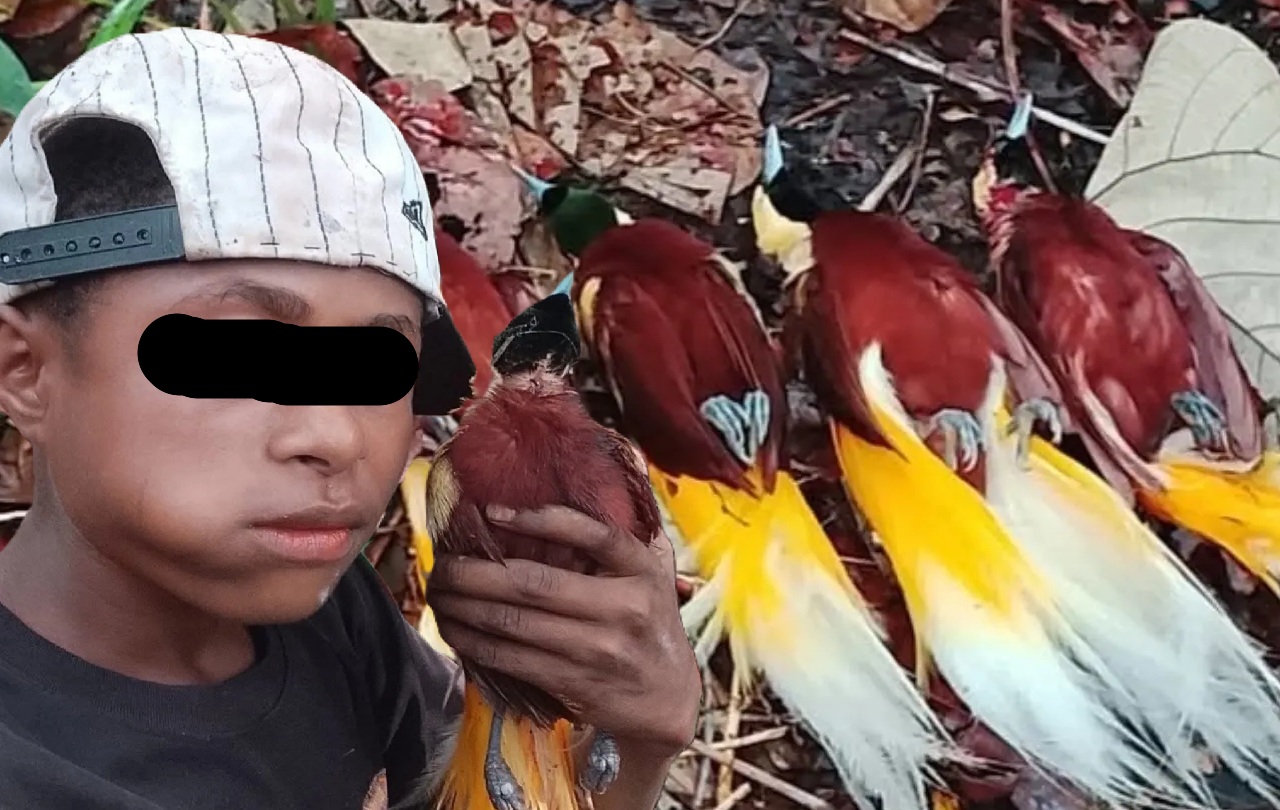 Viral! Pemuda Diduga Pamer Hasil Buruan Burung Cenderawasih di Facebook, Warganet Langsung Geram