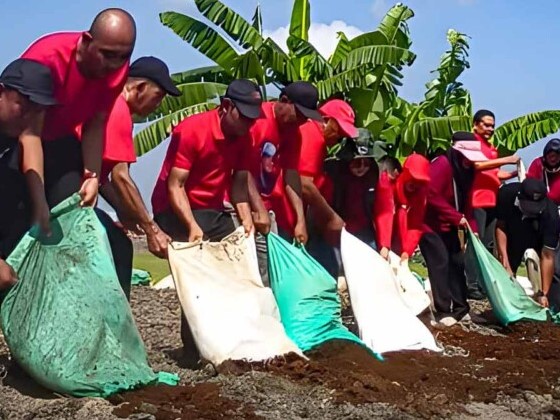 Bersamai Warga Antisipasi El Nino Godzilla, PDIP Jombang Buka Lahan Sayur Gratis 