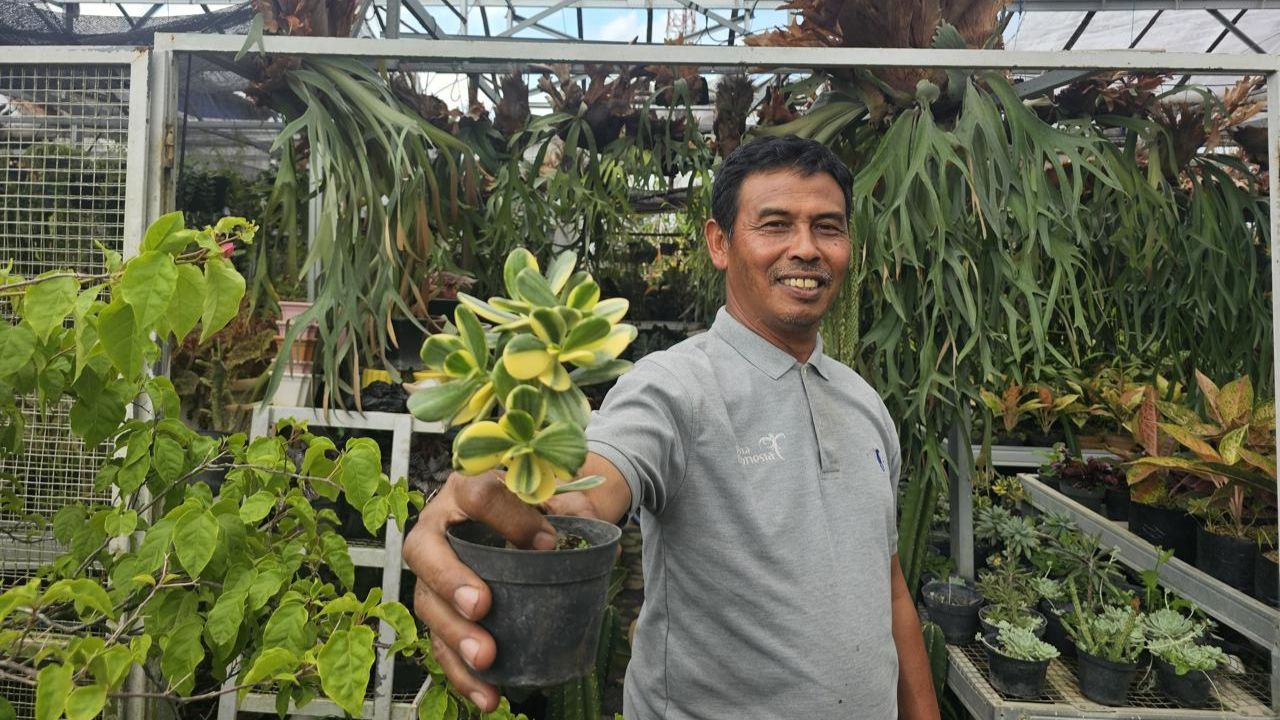 Dukung UMKM, BRI Bina Klaster Tanaman Hias Sekar Mulyo di Kota Batu