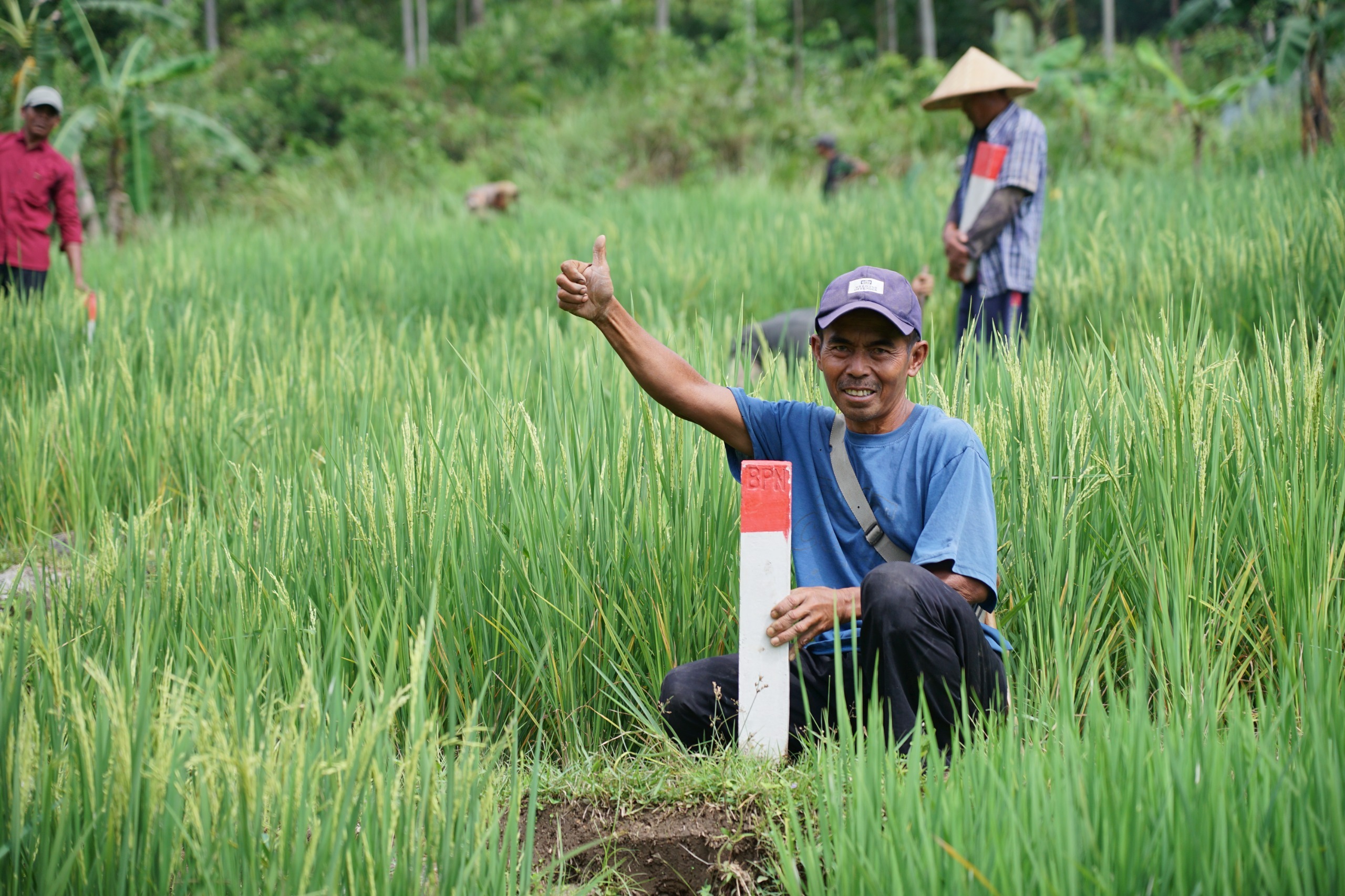 ATR/BPN Anjurkan Cek Batas Tanah di Kampung Halaman: 'Cegah Sengketa dengan Tetangga'