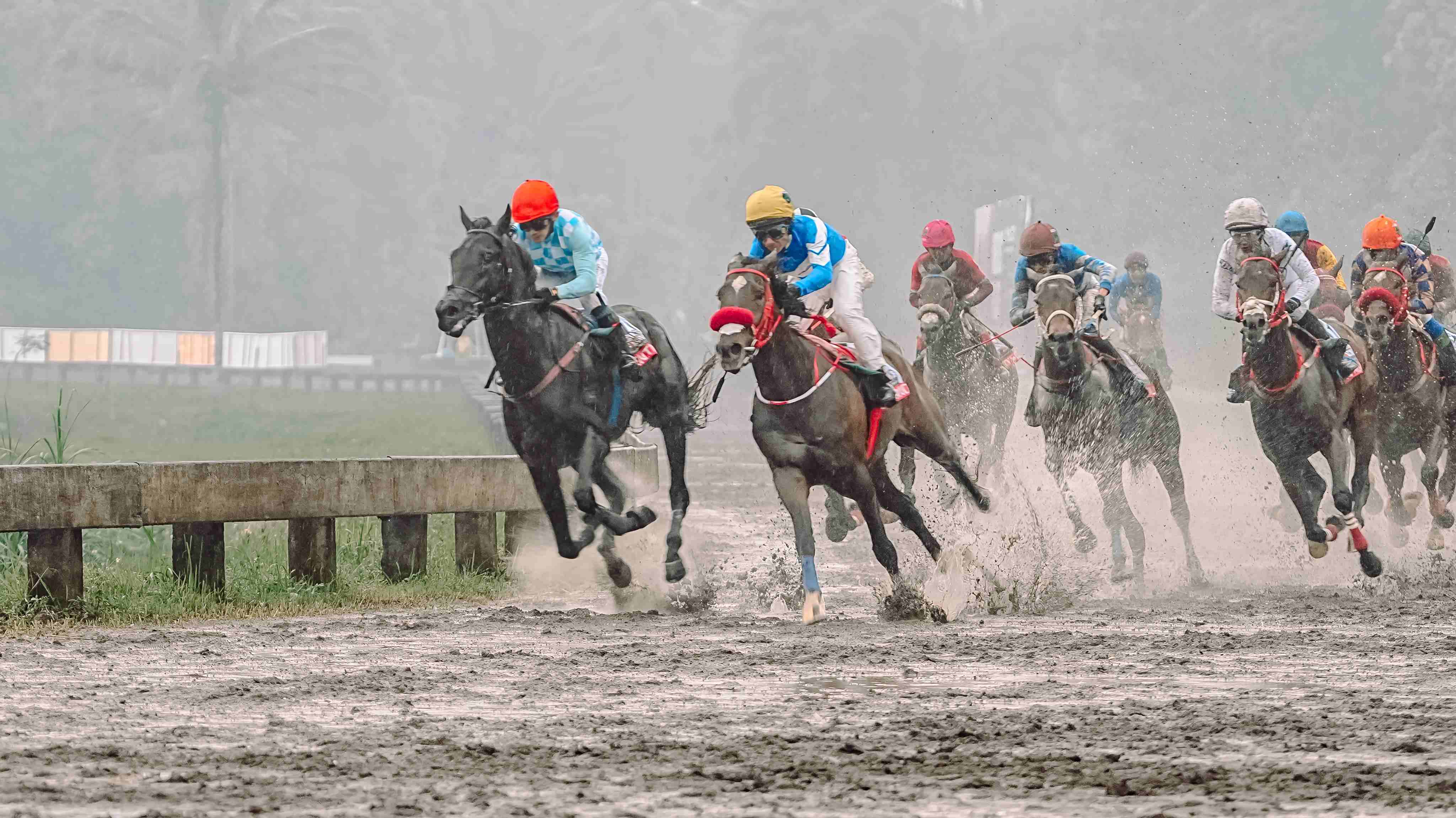 Event Triple Crown Segera Hadir di Indonesia: Mahkota Tertinggi di Dunia Pacuan Kuda