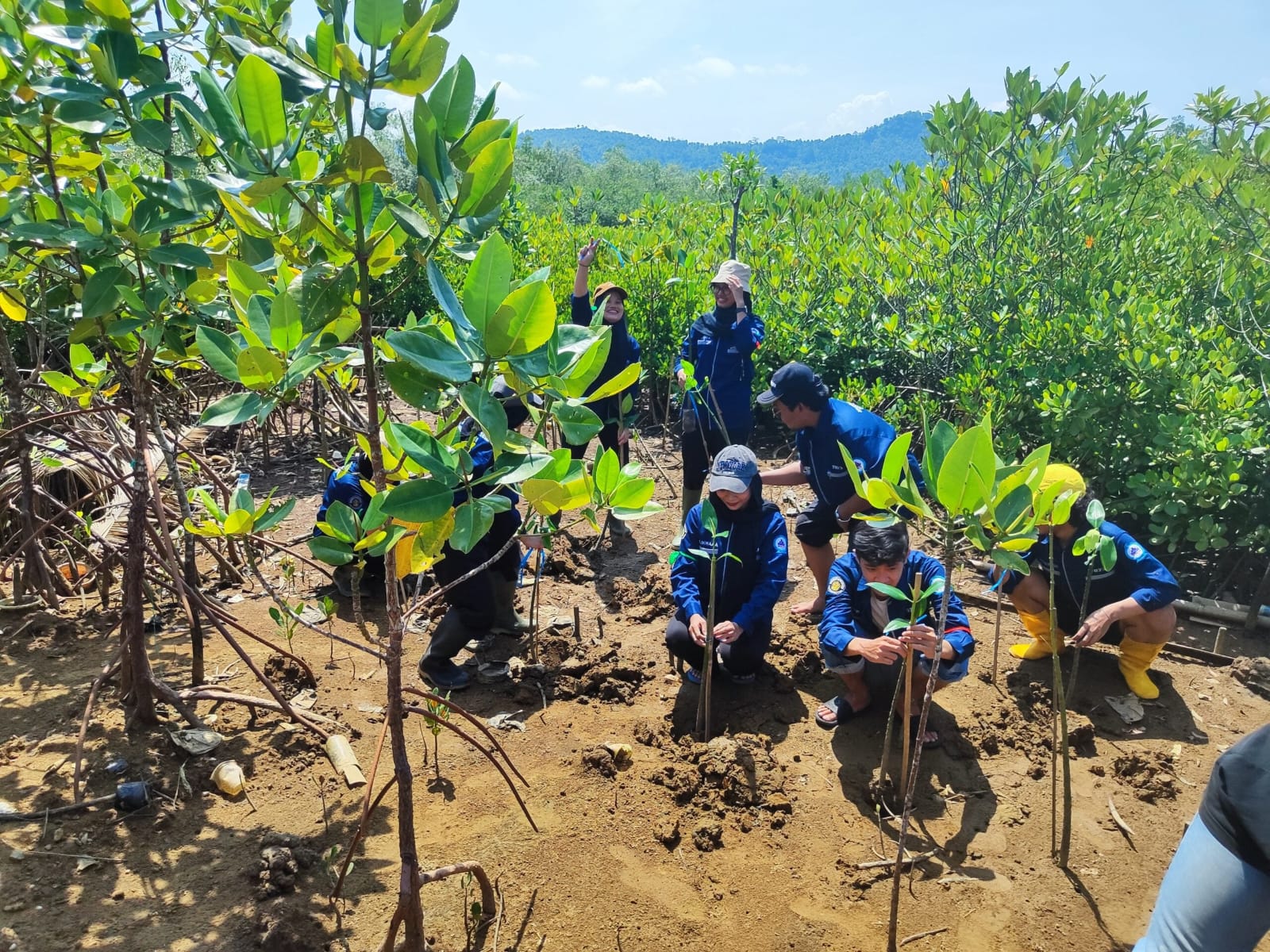 Menjaga Biru Laut Selaras Hijau Mangrove