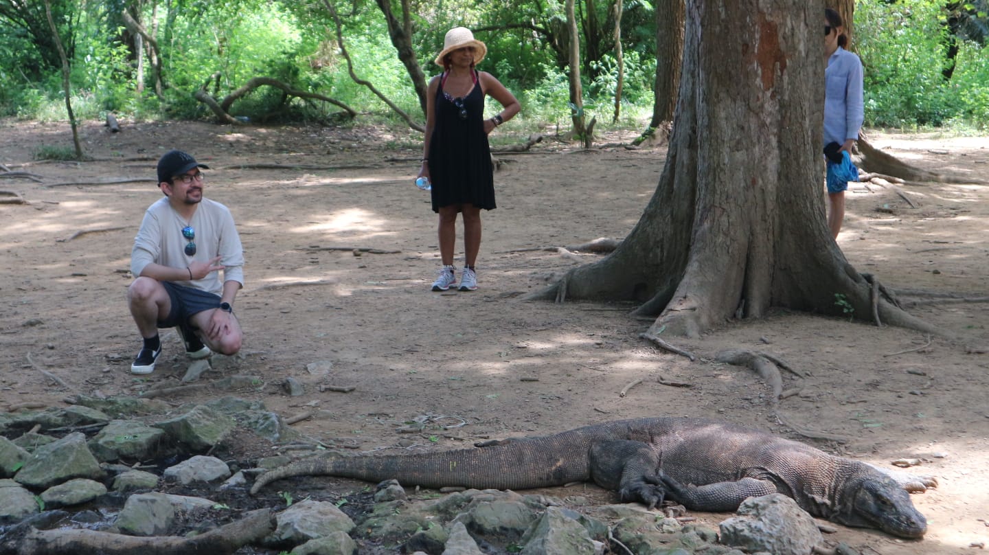 Jelajah Pulau Komodo di Taman Nasional Komodo, Nusa Tenggara Timur