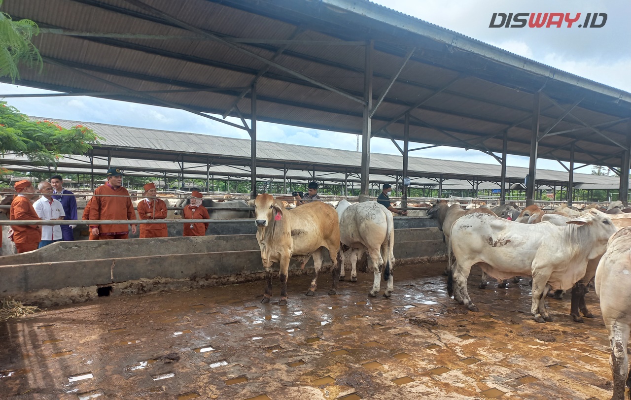 Daging Sapi Jadi Sumber Protein MBG, Barantin: Kami Pastikan Sapi yang Digunakan Sehat!