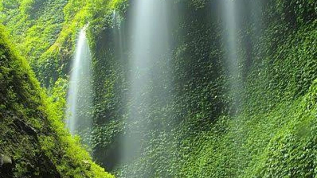 10 Rekomendasi Wisata Air Terjun di Jawa Timur