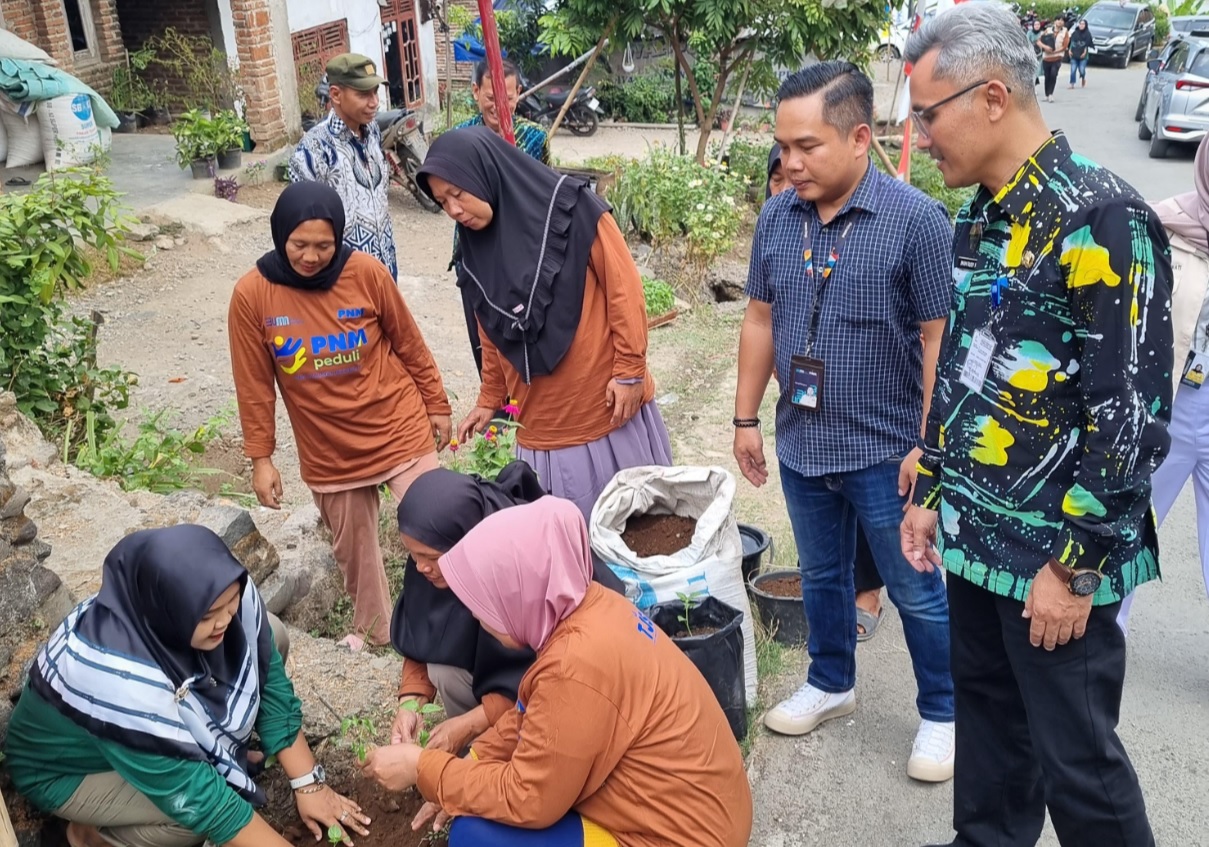 Harga Tidak Stabil, PNM Sebar Bantuan 1.500 Bibit Cabai Buat Warga Desa