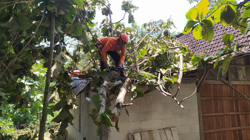 Diterjang Angin Kecang 25 Rumah di Kabupaten Grobongan Nyaris Roboh, BNPB: Besok Hujan Antisipasi Dini   