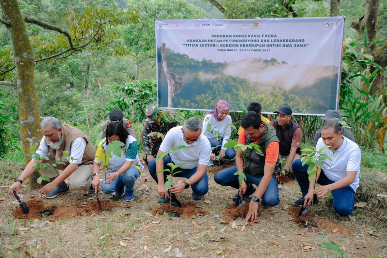 Peduli Primata, Yayasan AHM Gandeng Masyarakat Pekalongan Lestarikan Satwa Owa Jawa