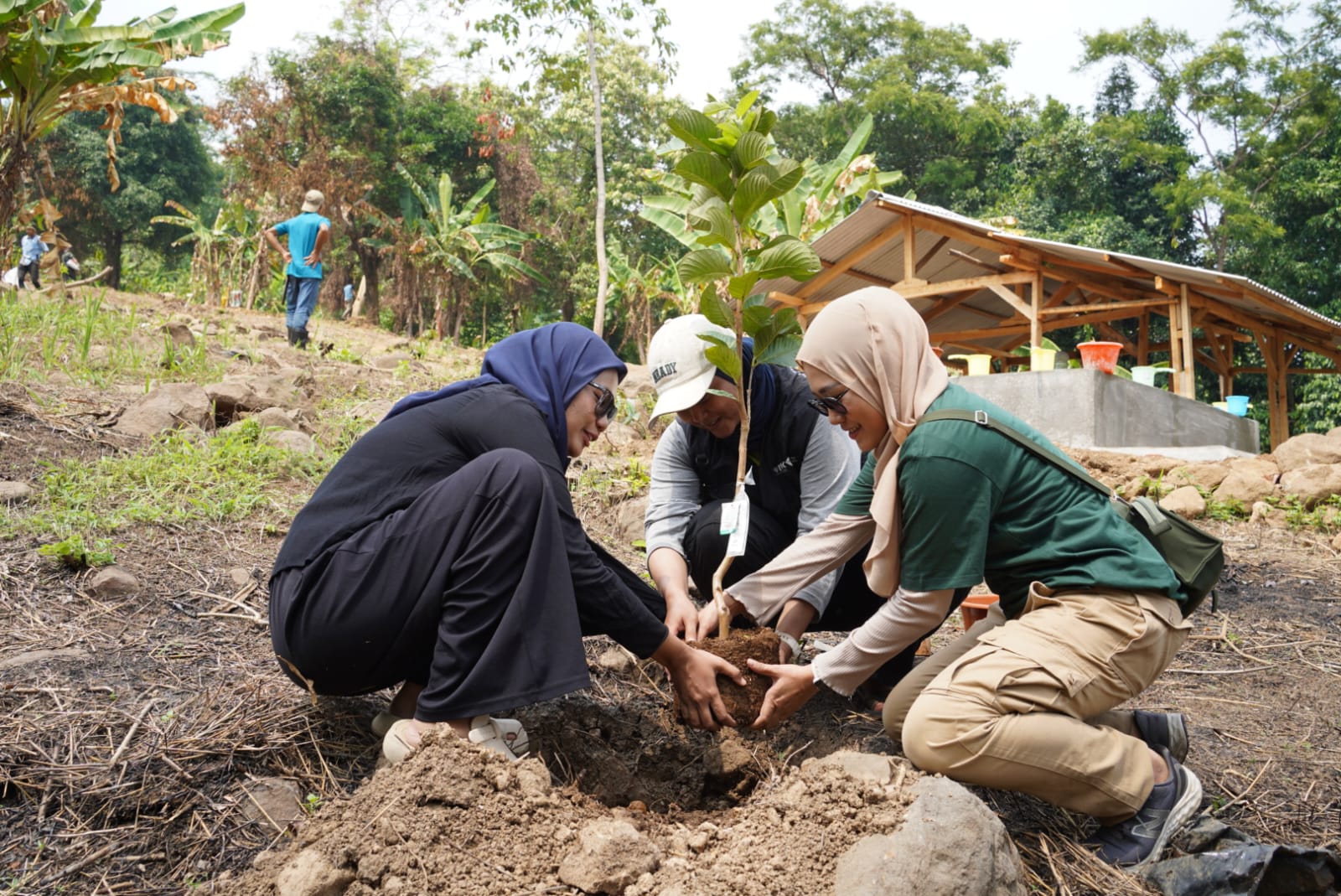 Tanam 150 Pohon Produktif, Dompet Dhuafa Perkuat Ekonomi Berbasis Pesantren