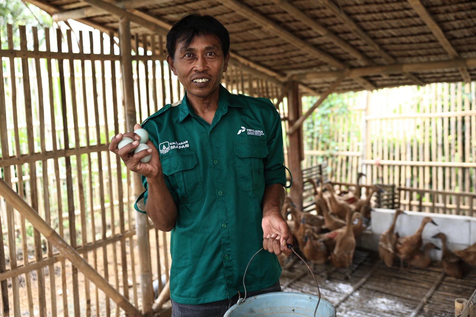 Pertamina Dorong Ketahanan Pangan, Energi Bersih Aliri 25 Hektar Lahan Pertanian Berkelanjutan Milik Warga Kalijaran