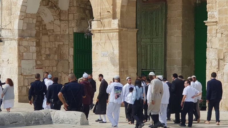 Ratusan Zionis Israel Duduki Masjid Al-Aqsa dengan Melakukan Ritual Talmud 